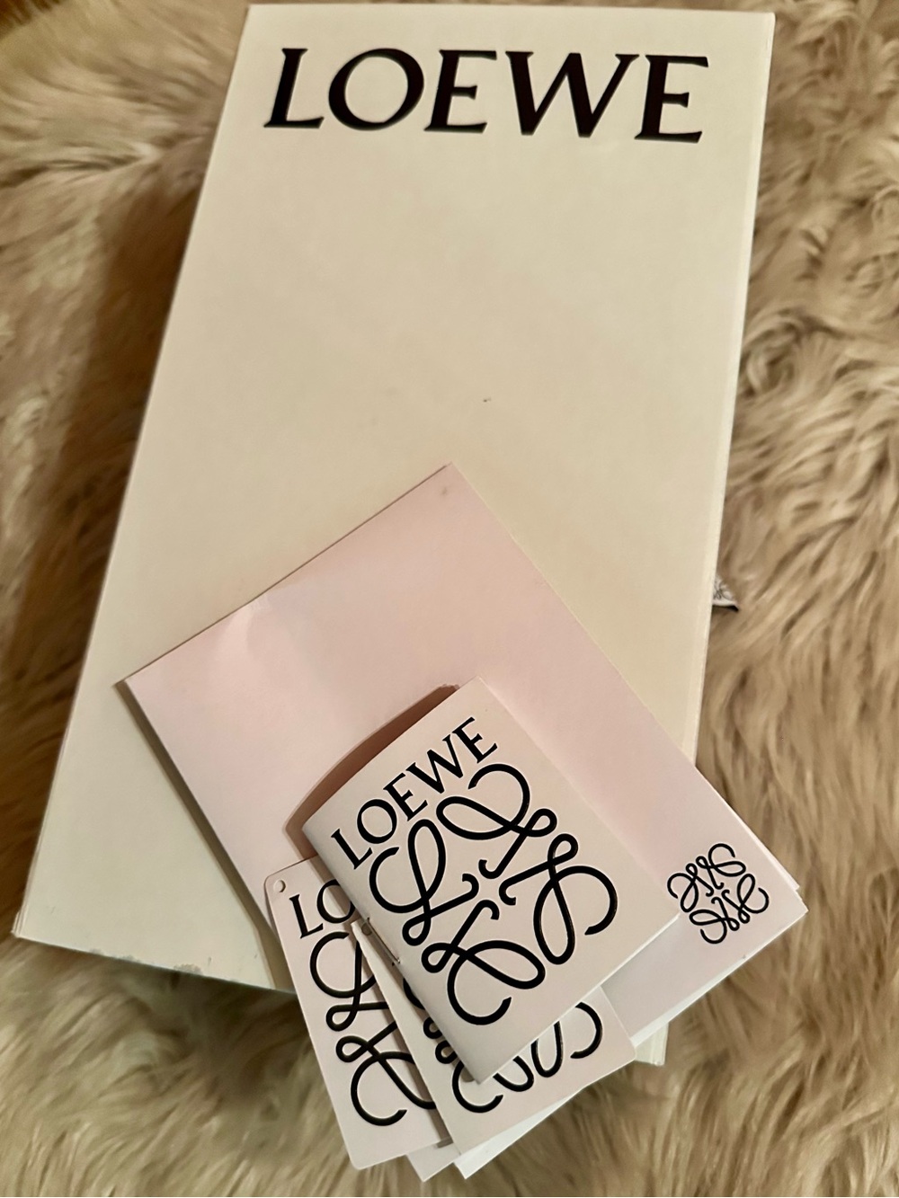 Loewe Shoebox & dust bags